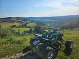 Yamaha Raptor SE - YAMAHA RAPTOR