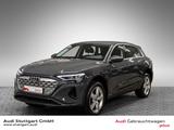 Audi Q8 50 e-tron quattro advanced - graue Audi Q8 e-tron