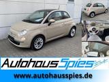 Fiat 500 1.2 8V Lounge Klima Alu15 2.Hand - Fiat 500: Beige