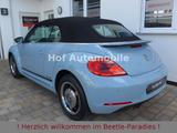 Volkswagen Beetle 1.4TSI Club Xenon Navi SHZ 2xPDC - : Blau, Scheckheftgepflegt, Cabrio