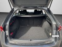 Skoda Octavia - Vorschau Bild 16