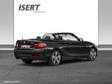 BMW 220i Sport Line RFK+SPORTSITZ+PDC+XENON+ - BMW 2 Series: Sport Line