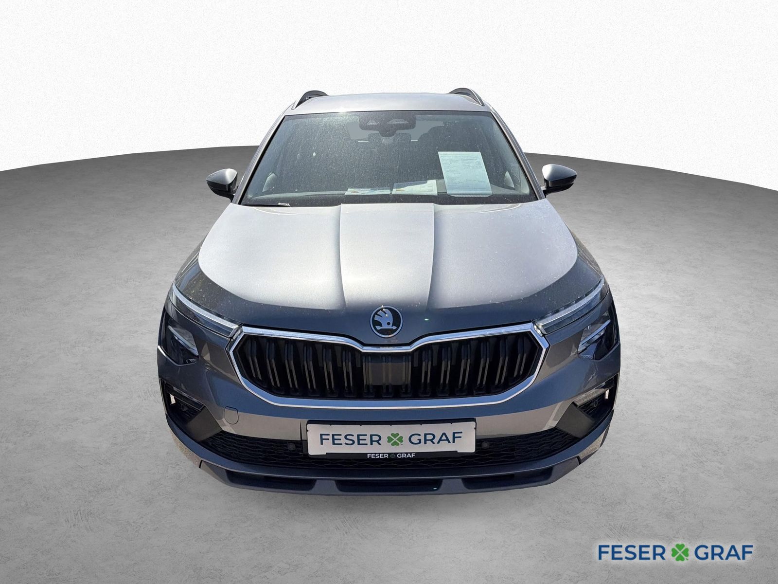 Skoda Kamiq SELECTION 1,0 TSI / DSG / 116 PS imagem 2