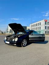 Mercedes-Benz CLK 430 AVANTGARDE Avantgarde - Mercedes-Benz CLK 430 aus 2001