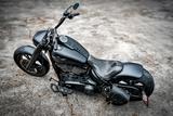 Harley-Davidson FLFBS Fat Boy 114 -Mad Boy-Umbau-! - HARLEY-DAVIDSON UMBAU