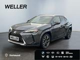 Lexus UX 250h (E-FOUR) Luxury Line*Matrix*360°*SHZ*PDC - graue Lexus UX