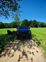 Ford F 150 SVT Raptor - Ford F 150: Svt