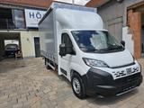 Fiat Ducato 35 MAXI 180 Pritsche Plane LBW BÄR AHK - Fiat Ducato pl