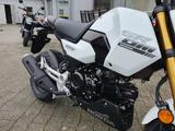 Honda MSX125 + 6 Jahre Garantie - NEU - 0KM - HONDA WIESBADEN