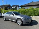 Jaguar XF 3.0 L V6 Diesel - - Jaguar XF aus 2014