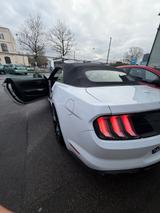 Ford Mustang 5.0 Ti-VCT V8 GT GT - Ford Mustang in Krefeld