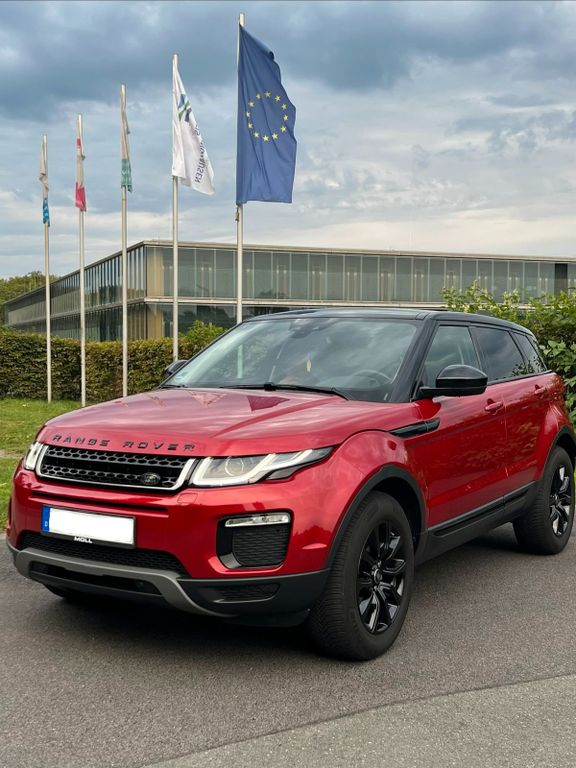 Image of Other Other