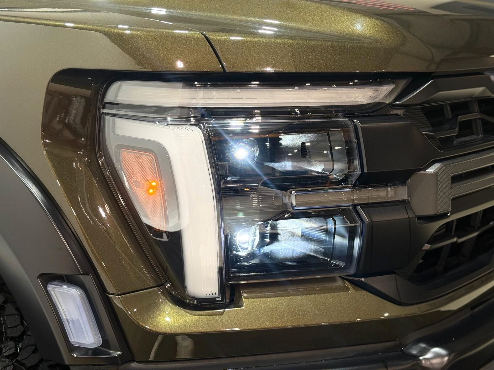 Fahrzeugabbildung Ford F-150 RAPTOR  EcoBoost®  3.5L V6 *MY25*