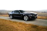 Ford Mustang GT 5.0 V8 - 2013  Coyote P... - Ford Mustang mit Benzin-Antrieb: Limousine