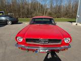 Ford Mustang 289 - gebrauchte Ford Mustang aus dem Jahr 1966