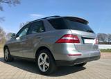 Mercedes-Benz ML 350 Benziner! Top-Zustand u.-Ausstattung! - Mercedes-Benz ML 350 mit Benzin-Antrieb