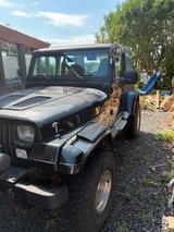 Jeep Wrangler YJ 2,5 l - gebrauchte Jeep Wrangler aus dem Jahr 1994