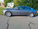 Jaguar XF 20d 180PS Portfolio Automatik Portfolio/PANO - Jaguar XF: 20d