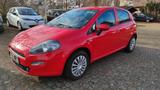 Fiat Punto More 1,2 8V AHK, PDC - Fiat Punto Gebrauchtwagen in Augsburg