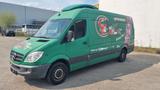 Mercedes-Benz Sprinter II Kasten 313 CDI  Kühlwagen - : Kühlwagen