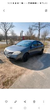 Nissan Primera - Nissan Primera aus 2004