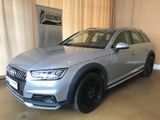 Vorschaubild Audi A4 Allroad quattro LEDER / PANO / AHZV / NAVI