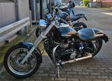 Triumph SPEEDMASTER - TRIUMPH SPEEDMASTER