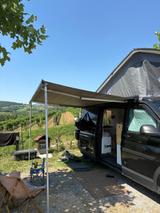 Volkswagen T6 Transporter - Transport