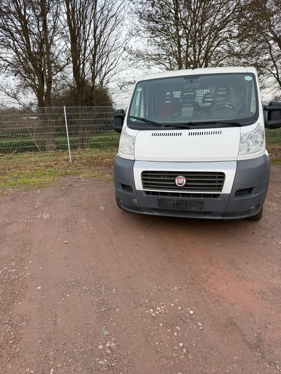 Fiat Ducato Pritsche Doppelk. 33 115