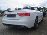 Audi A5 Cabriolet 1.8 TFSI  S-line - Audi A5: Weiß