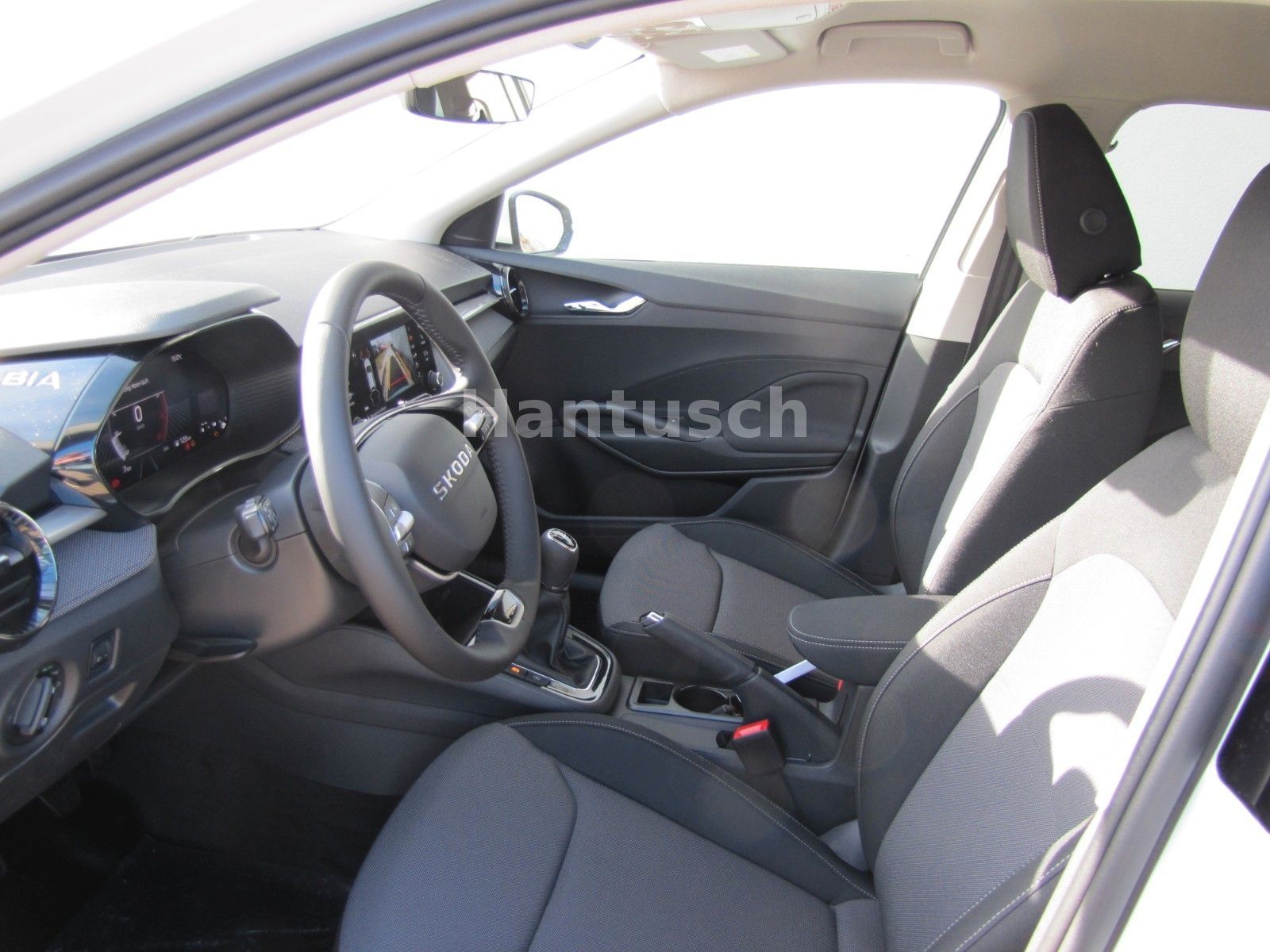 Fahrzeugabbildung SKODA Fabia Selection 1.0l TSI 95PS