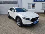 Mazda CX-30 150PS Exclusive-line  MATRIX-LED NAVI HEAD - Mazda CX-30: Exclusive Line