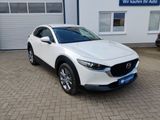 Mazda CX-30 150PS Exclusive-line  MATRIX-LED NAVI HEAD - Mazda CX-30: Exclusive Line