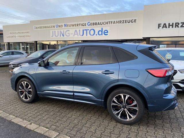 Ford Kuga Plug-In Hybrid ST-Line X PANO HUD 19ZOLL AC