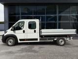Toyota Proace Max 2.2-l-D 35 L3H1 Heavy Work - Tier-/Pferdetransport