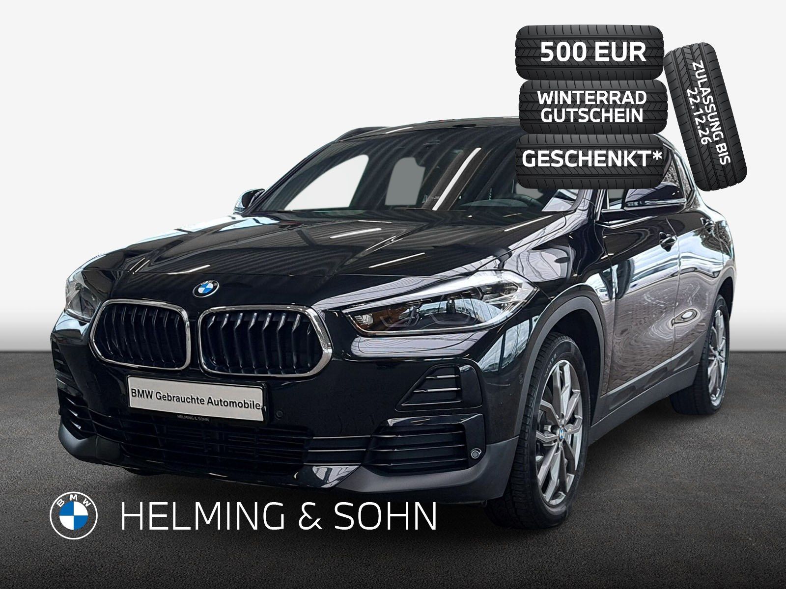 BMW X2 sDrive20d HiFi DAB LED Pano RFK Navi AHK RFK 
