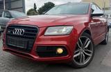 Audi SQ5 3.0 TDI Panorama S. Belüftung B&O Kamera - Audi SQ5 in Düsseldorf