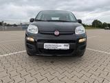 Fiat Panda Pop - Fiat Panda: Pop