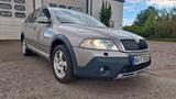Skoda Octavia Combi Scout 4X4 - Skoda Octavia aus 2007: Scout