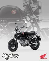 Honda Monkey 2025 (Z 125 MAS) NEUFAHRZEUG!!! - Angebote