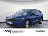Skoda Enyaq iV 50 - Skoda Enyaq 50 Gebrauchtwagen