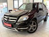 Mercedes-Benz GLK 220 CDI 4Matic Bi-Xenon / AHK / Navi / Leder - gebrauchte Mercedes-Benz GLK 220 aus dem Jahr 2015