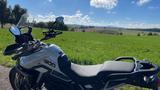 Triumph Tiger 900 GT Pro  mit Garantie 09/28 - TRIUMPH 900 TIGER