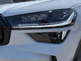 Skoda KODIAQ 2.0 TSI 4x4 DSG RS HeadUp Panodach AHK - Skoda Kodiaq: Automatik