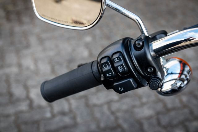 Fahrzeugabbildung Harley-Davidson SOFTAIL STANDARD FXST - JEKILL&HYDE - SPEICHEN