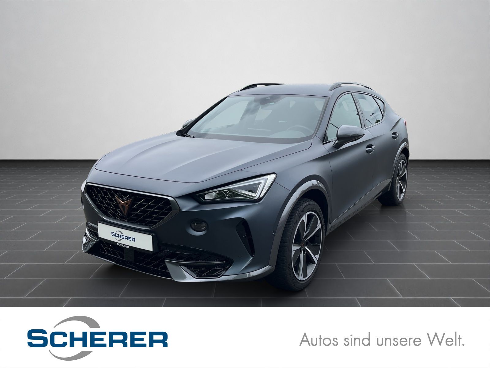 Cupra Formentor 2.0 TSI VZ Navi, SHZ, RFK, ACC