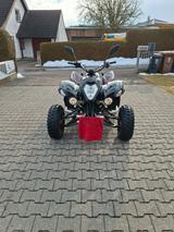 Beeline Bestia 5.5 - BEELINE BENZIN QUAD