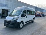 Fiat FIAT Ducato 35 3.0 Natural Power PM-TM Panorama - Fiat Ducato: Power