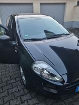 Fiat Punto 1.2 8V YOUNG  - Fiat Punto: Young