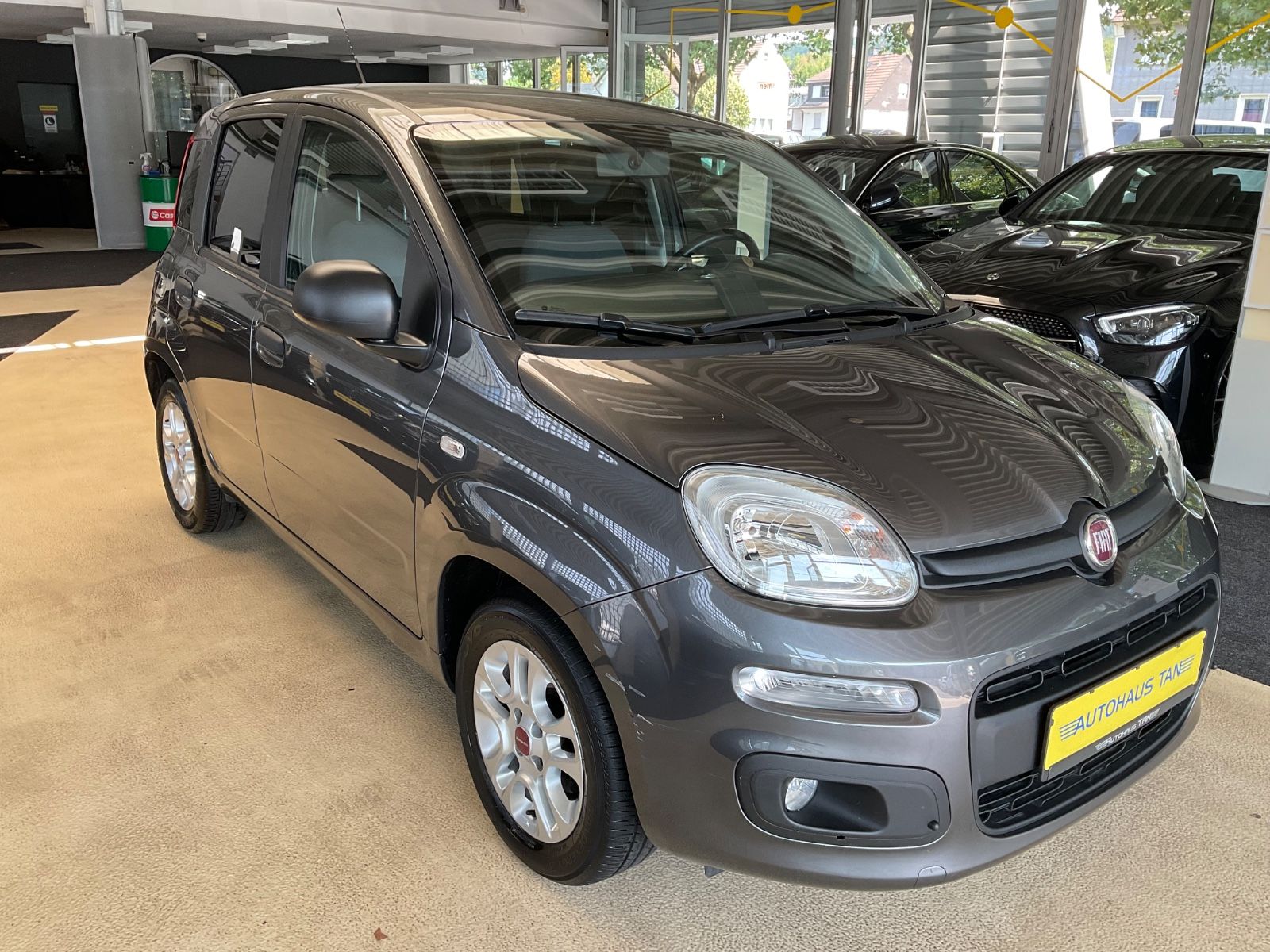Fahrzeugabbildung Fiat Panda More